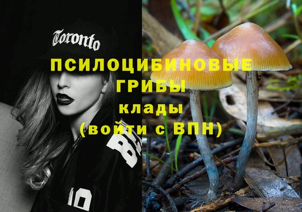 бутират Аркадак