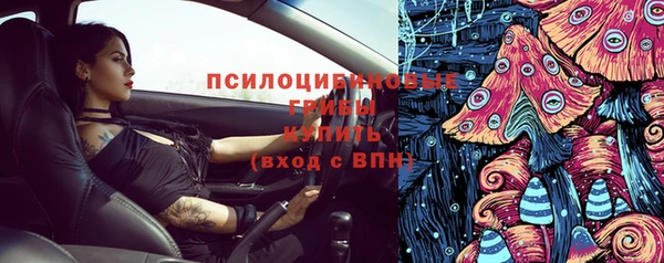трава Арсеньев