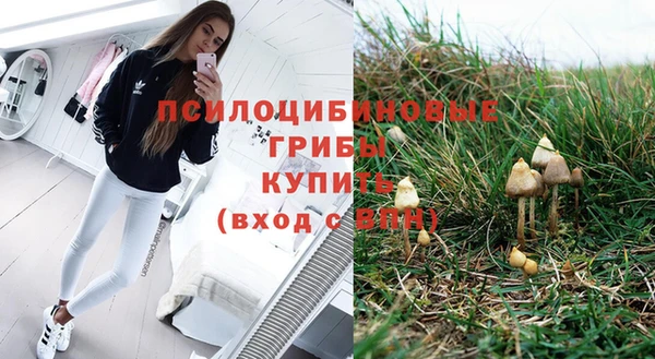 бутират Аркадак