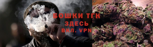трава Арсеньев