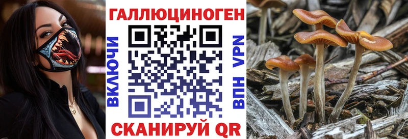 Псилоцибиновые грибы прущие грибы  Купить где  Биробиджан 
